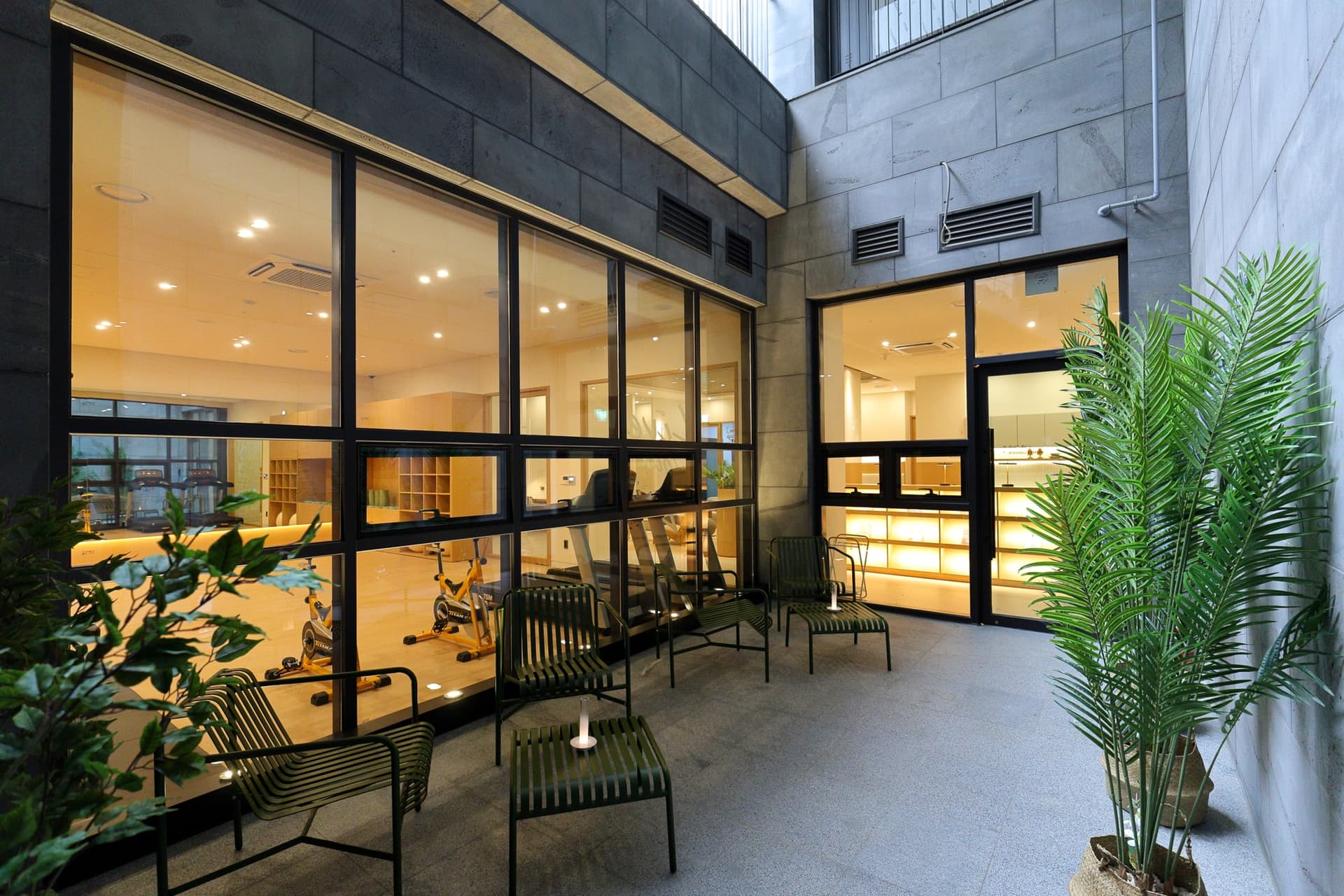 branch image 11