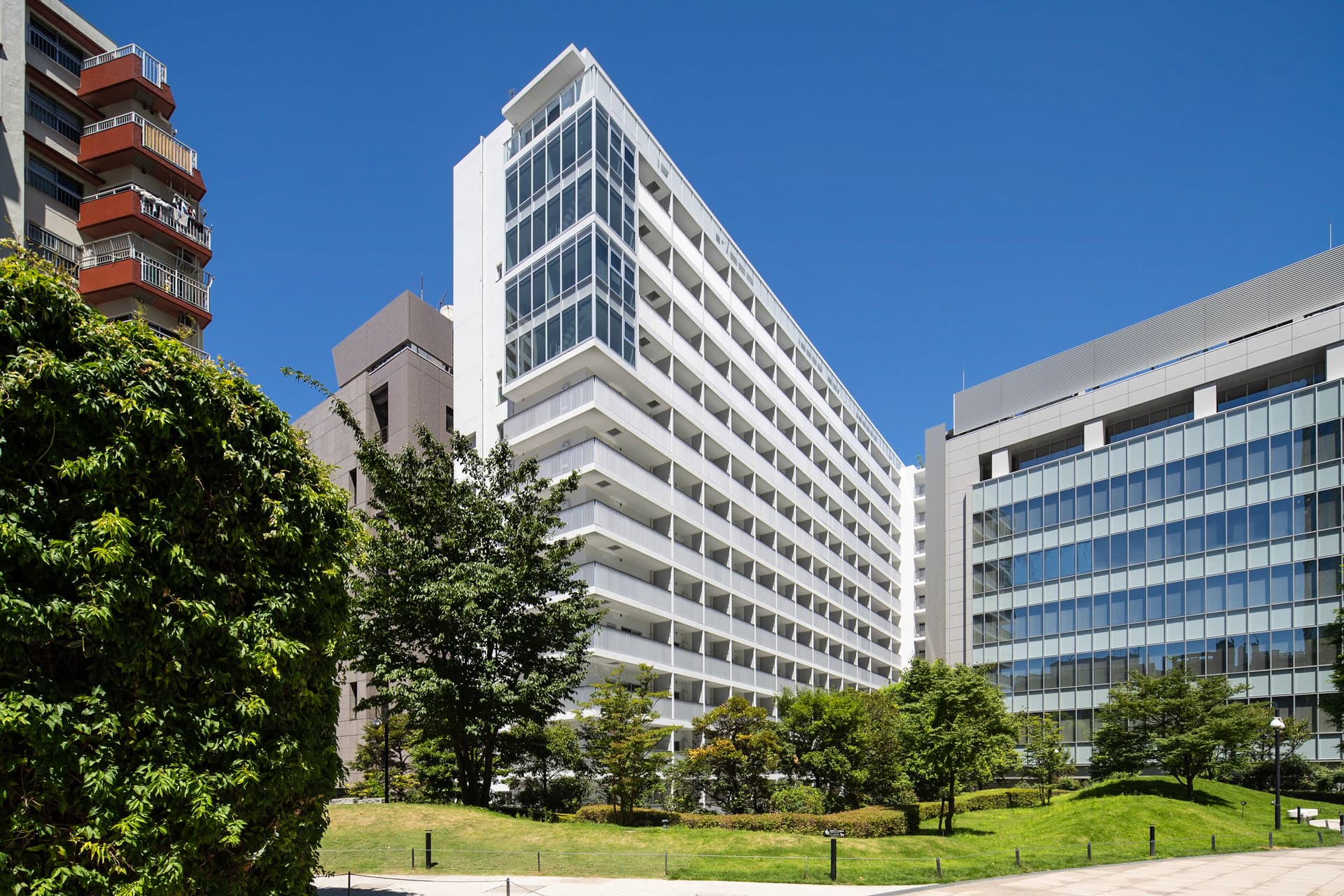 branch image 3