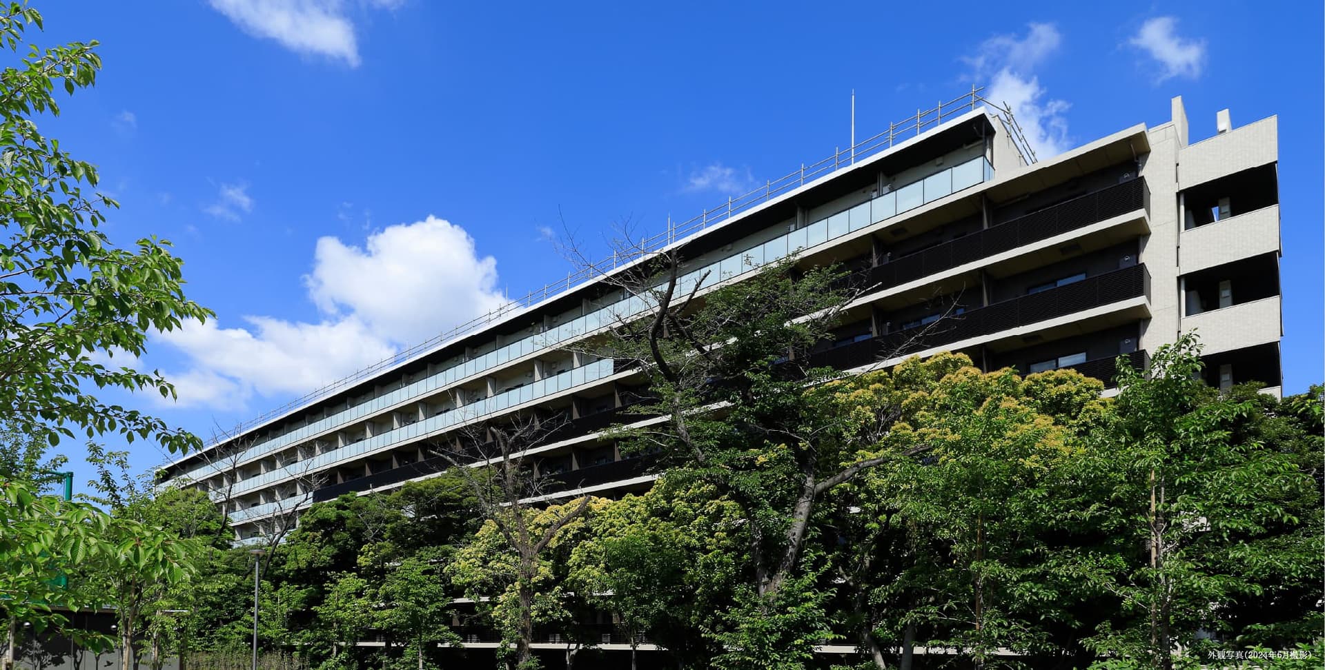 branch image 3